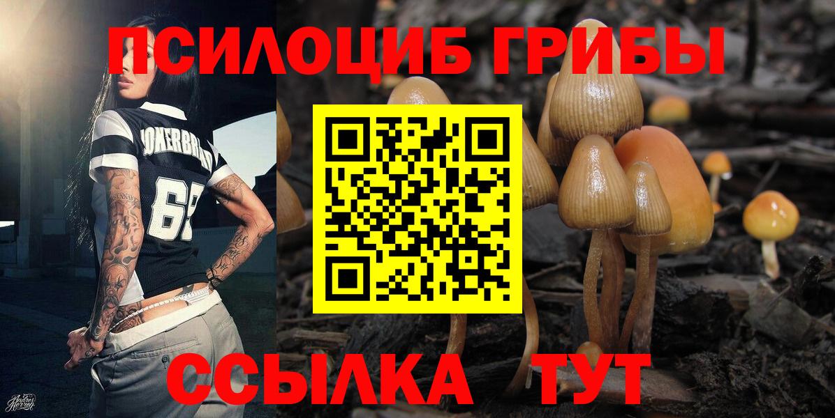 Можайск  Псилоцибиновые грибы GOLDEN TEACHER  Вход с VPN 
